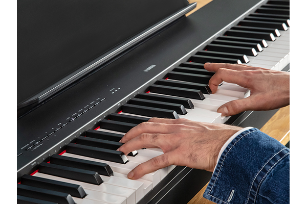 The hands of a person playing the P-223