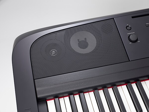 DGX-670 - Overview - Portable Grand - Products - Pianos - Musical