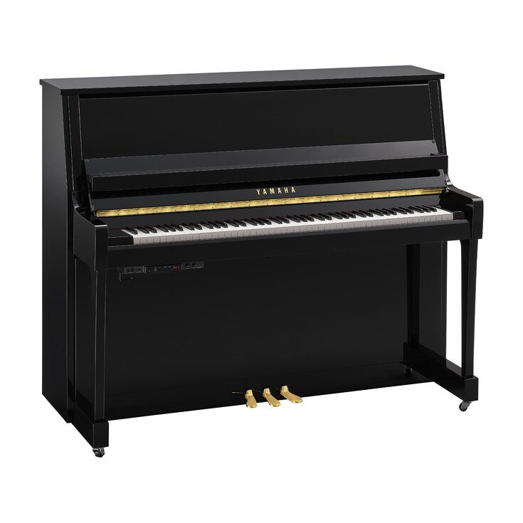 Product image of B30TC3 (Polished Ebony)