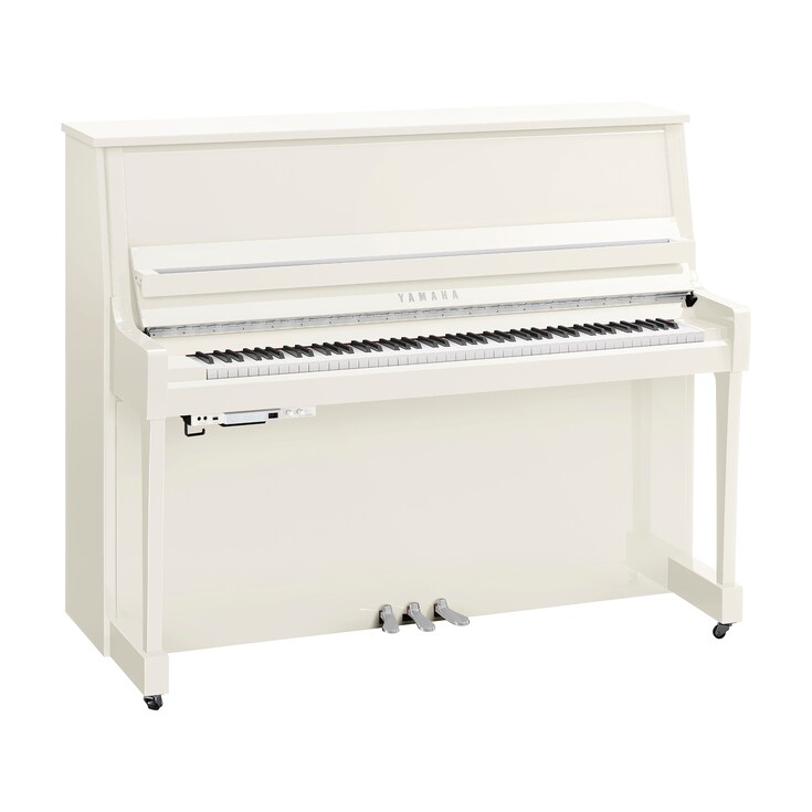 Product image of B30TC3 (Polished White Chrome)