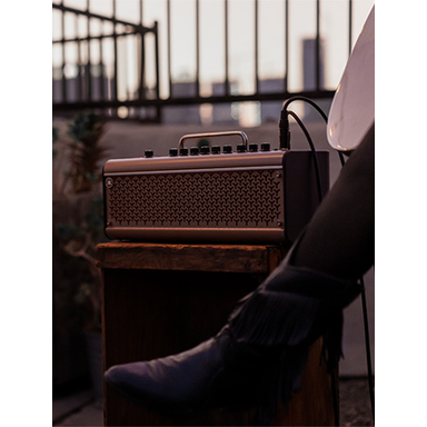 THR THR-II THR30II THR10II