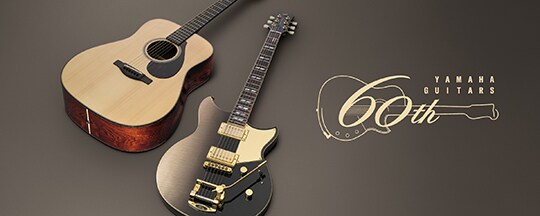 Electric Guitars - Products - Guitars, Basses & Amps - Musical
