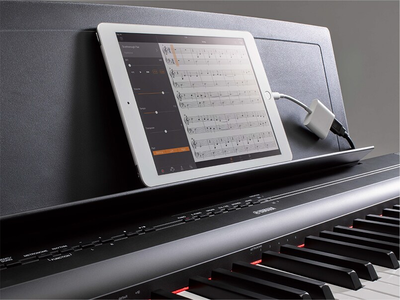P-125 - Overview - P Series - Products - Pianos - Musical