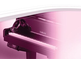 Prof. Christoph Sischka, Disklavier