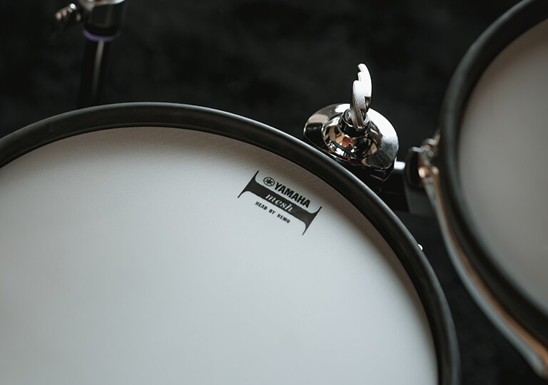 Image of the mesh pads of the DTX6K5-M