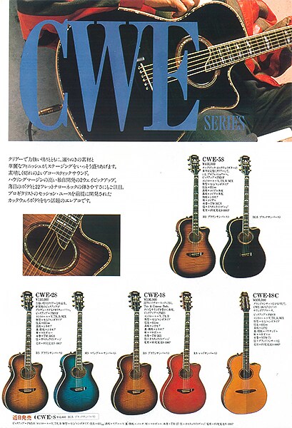 CWE Series Acoustic Electric Guitars