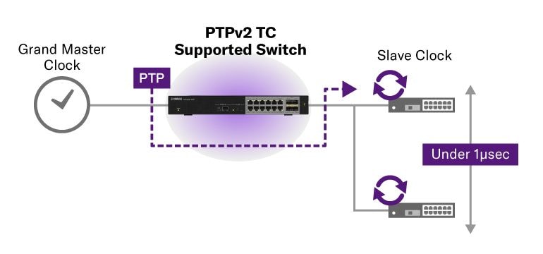 Support for PTPv2 TC Time Synchronization with Precision of 1 μsec or Less