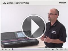 CL/QL Series Online Seminar 